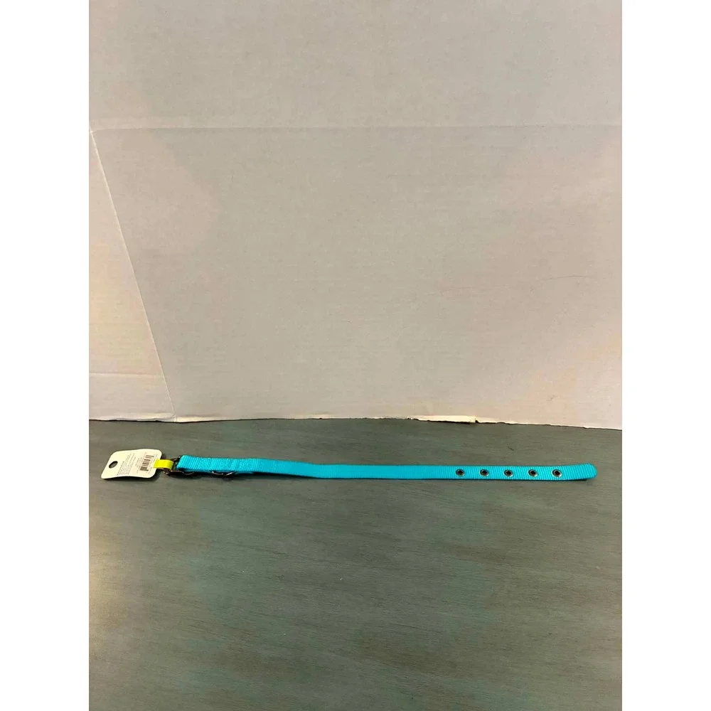 Top Paw Buckle Dog Collar Small Aqua Blue NWT Adjustable Nylon 12-16in